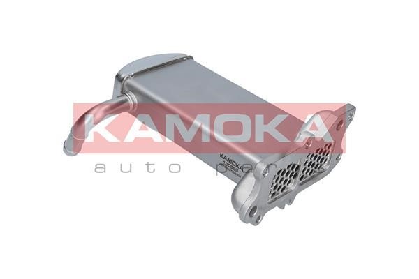 19C069 Kamoka Cooler, exhaust gas recirculation