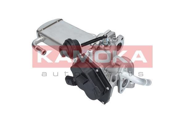 EGR Module Kamoka 19068