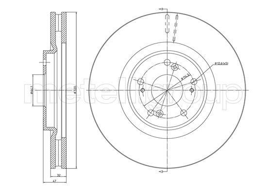 Trusting DF1347 Front brake disc ventilated DF1347