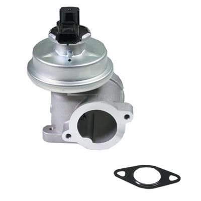 Birth 90033 EGR Valve 90033