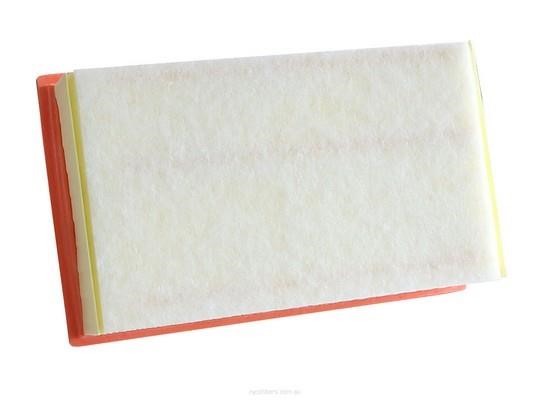 RYCO A1861 Air filter A1861