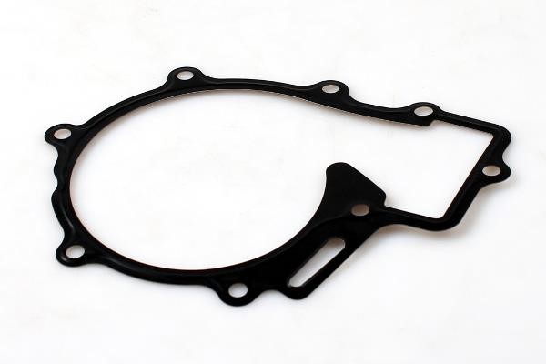 Water pump Hepu P1549