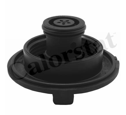 Expansion tank Vernet ET0028C1