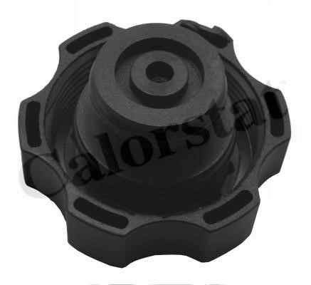 Expansion tank Vernet ET0024C1