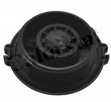 Expansion tank Vernet ET0029C1
