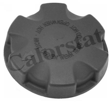 Expansion tank Vernet ET0133C1
