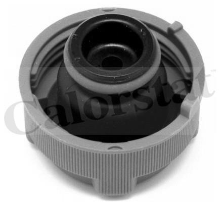 Expansion tank Vernet ET0033C2