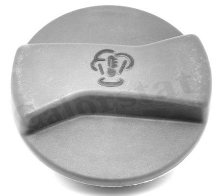 Expansion tank Vernet ET0008C1