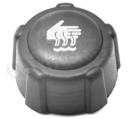 Expansion tank Vernet ET0132C1
