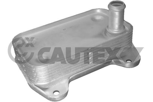 Cautex 181096 Oil cooler 181096