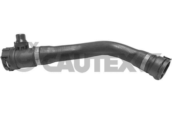 Cautex 754306 Radiator hose 754306