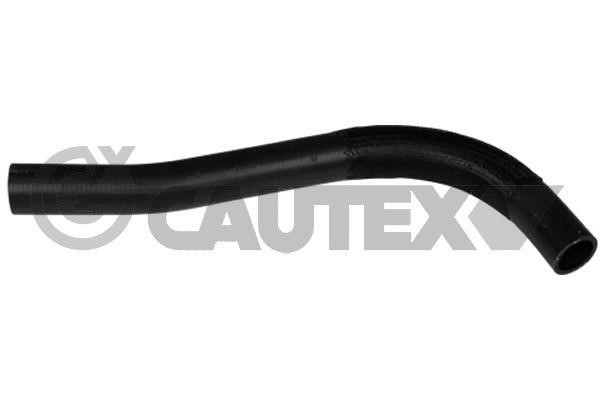 Cautex 754191 Radiator hose 754191