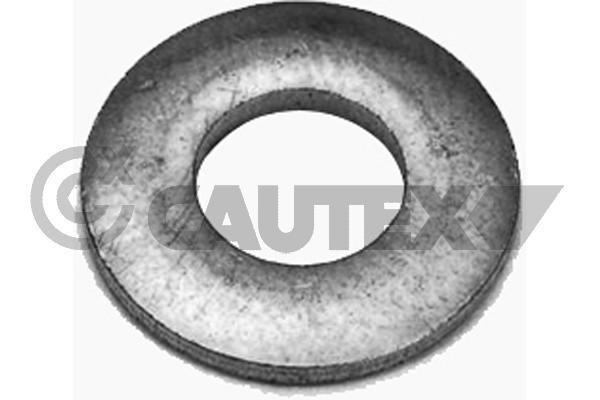 Cautex 769266 Seal Ring, injector 769266