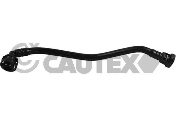 Cautex 764900 Hose, cylinder head cover breather 764900