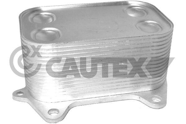 Cautex 462524 Oil cooler 462524
