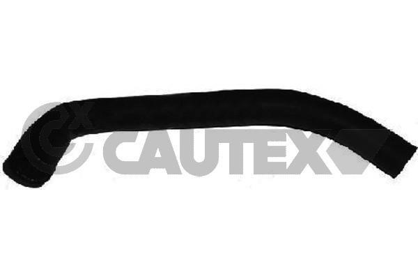 Cautex 752944 Radiator hose 752944