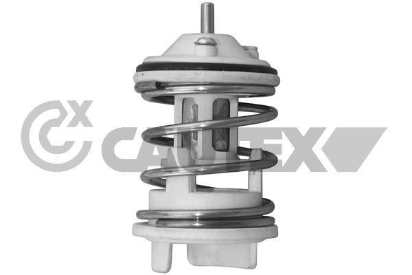 Cautex 756852 Thermostat, coolant 756852