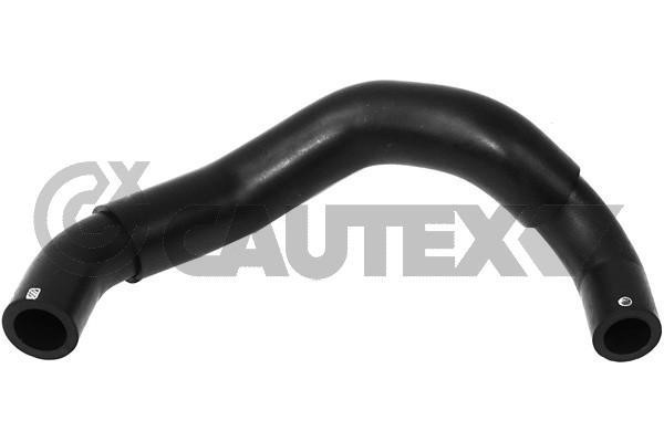 Cautex 765050 Hose, cylinder head cover breather 765050