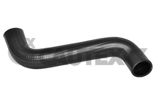 Cautex 753296 Radiator hose 753296