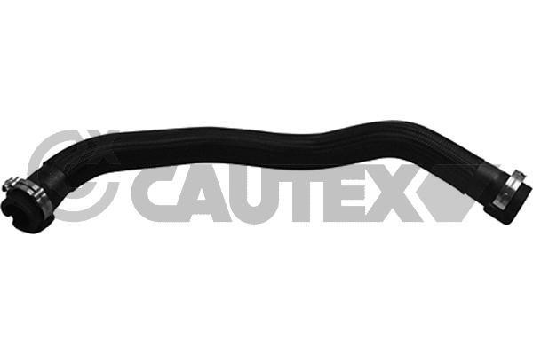 Cautex 753125 Hose, cylinder head cover breather 753125