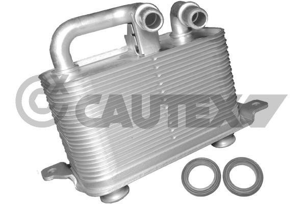 Cautex 751731 Oil Cooler, engine oil 751731