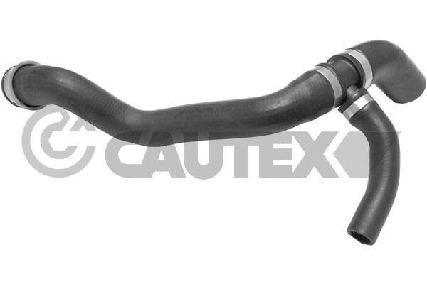 Cautex 754309 Radiator hose 754309