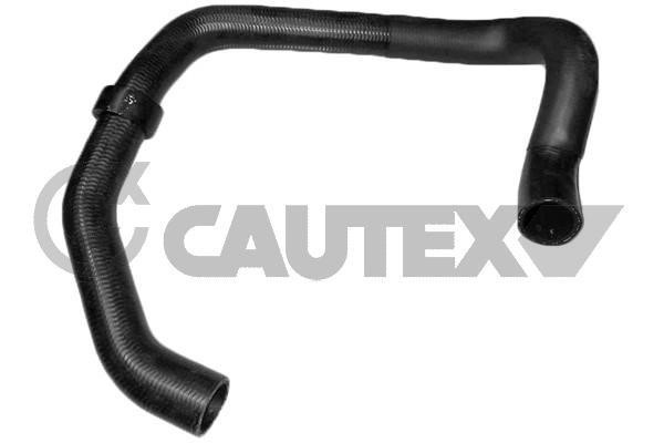 Cautex 752683 Radiator hose 752683