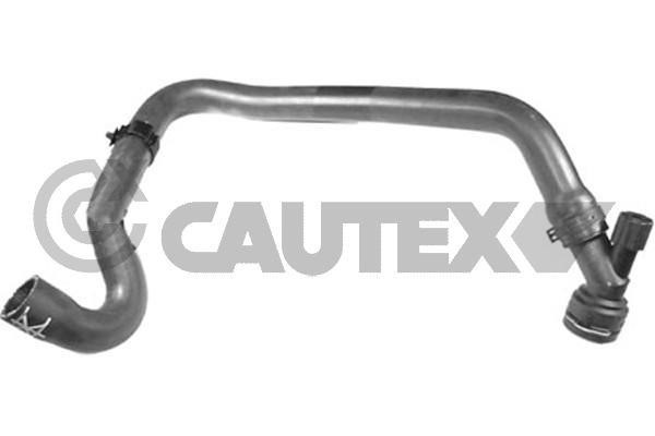 Cautex 466788 Radiator hose 466788