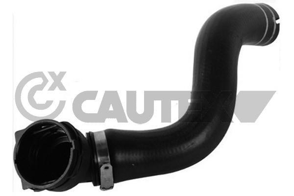 Cautex 753287 Radiator hose 753287