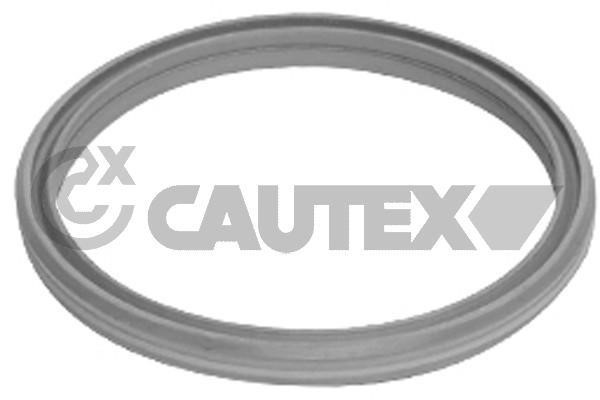 Cautex 751989 Seal Ring, charger 751989