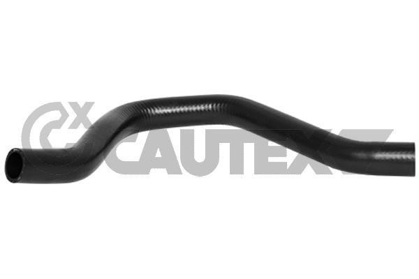 Cautex 754168 Radiator hose 754168