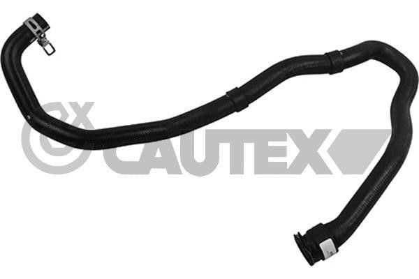 Cautex 753816 Radiator hose 753816