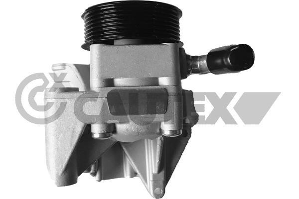 Cautex 768326 Hydraulic Pump, steering system 768326