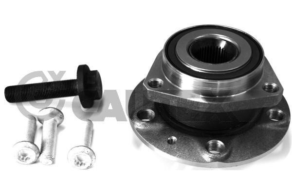 Cautex 764413 Wheel bearing kit 764413