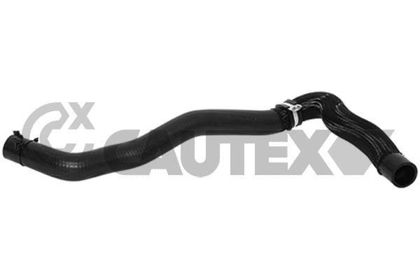 Cautex 753428 Radiator hose 753428