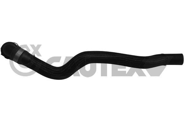 Cautex 753968 Radiator hose 753968