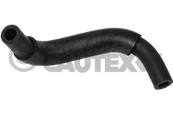 Cautex 753131 Hose, cylinder head cover breather 753131