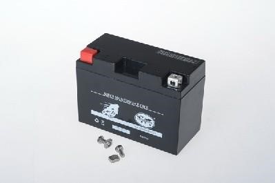 Ipsa TMBA50801 Battery Ipsa 12V 8AH 90A(EN) L+ TMBA50801