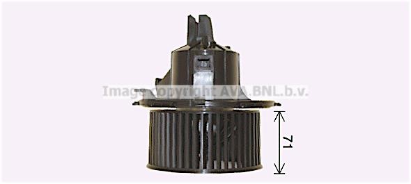 Buy AVA OL8696 at a low price in United Arab Emirates!