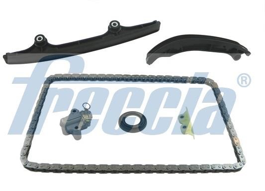 Freccia TK08-1038 Timing chain kit TK081038