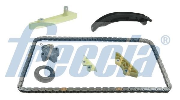 Freccia TK08-1039 Timing chain kit TK081039