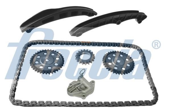 Freccia TK08-1091 Timing chain kit TK081091