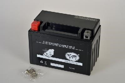 Ipsa TMBA51013 Battery Ipsa 12V 10AH 140A(EN) L+ TMBA51013
