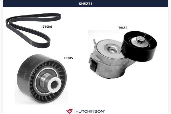 Hutchinson KHV 231 DRIVE BELT KIT KHV231