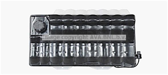 DFT079 AVA Expansion Tank, coolant