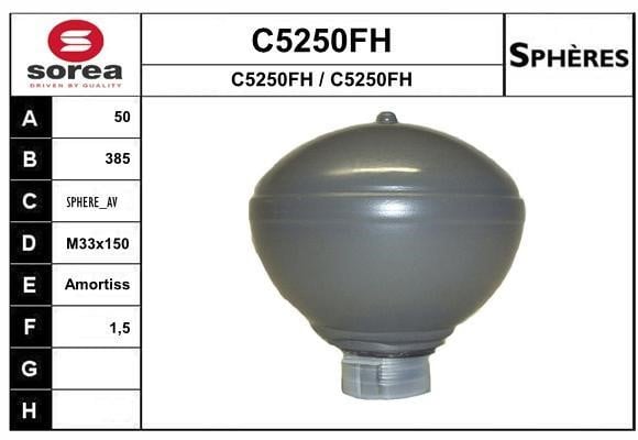SNRA C5250FH Hydraulic accumulator C5250FH