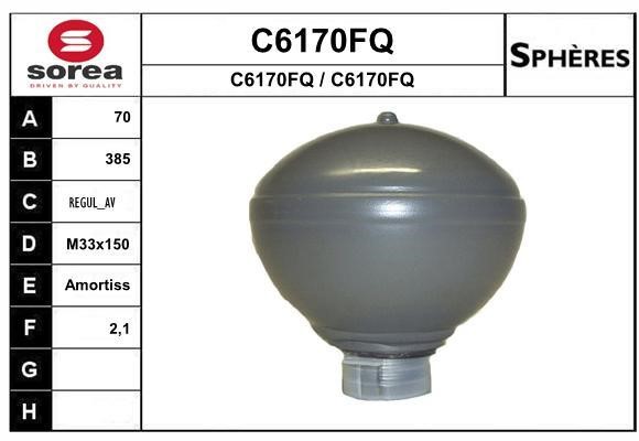 SNRA C6170FQ Hydraulic accumulator C6170FQ