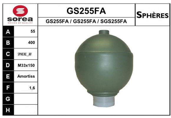 SNRA GS255FA Hydraulic accumulator GS255FA