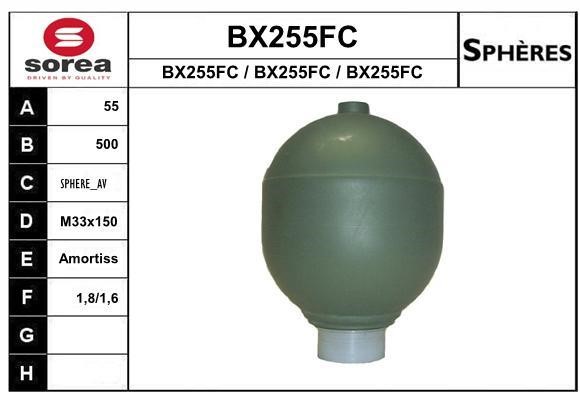 SNRA BX255FC Hydraulic accumulator BX255FC