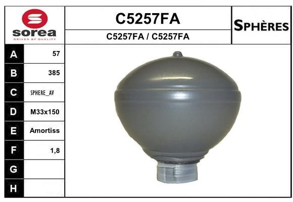 SNRA C5257FA Hydraulic accumulator C5257FA